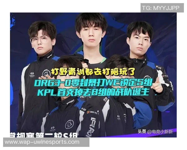 电竞比分英雄联盟专题深度解析WE战队的实力与未来发展潜力