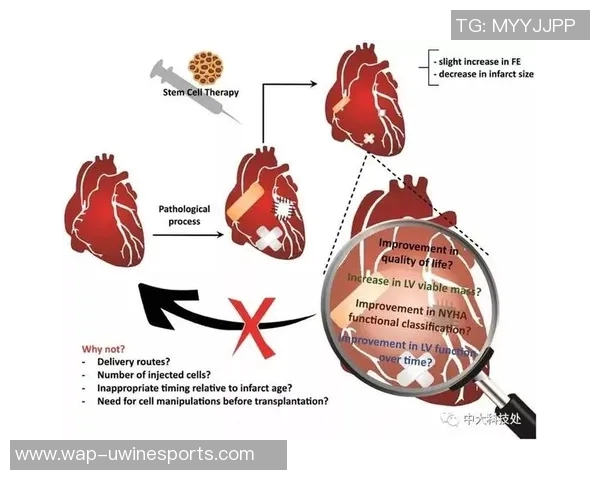 重磅专题探讨LNG产业的节奏革新与未来发展趋势分析 重磅专题探讨LNG产业的节奏革新与未来发展趋势分析